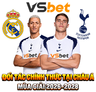 Banner Euro